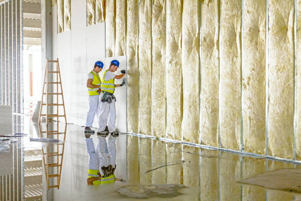 Garage Insulation Installation in Manchester, GA